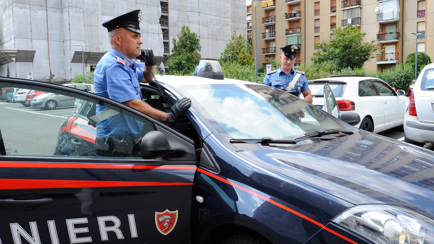 L'intervento dei carabinieri (Foto di repertorio Ansa)