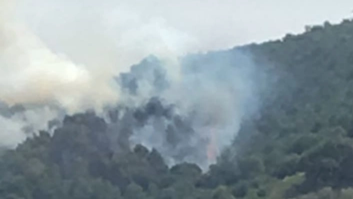 Vasto incendio sul monte Santa Maria a Piombino