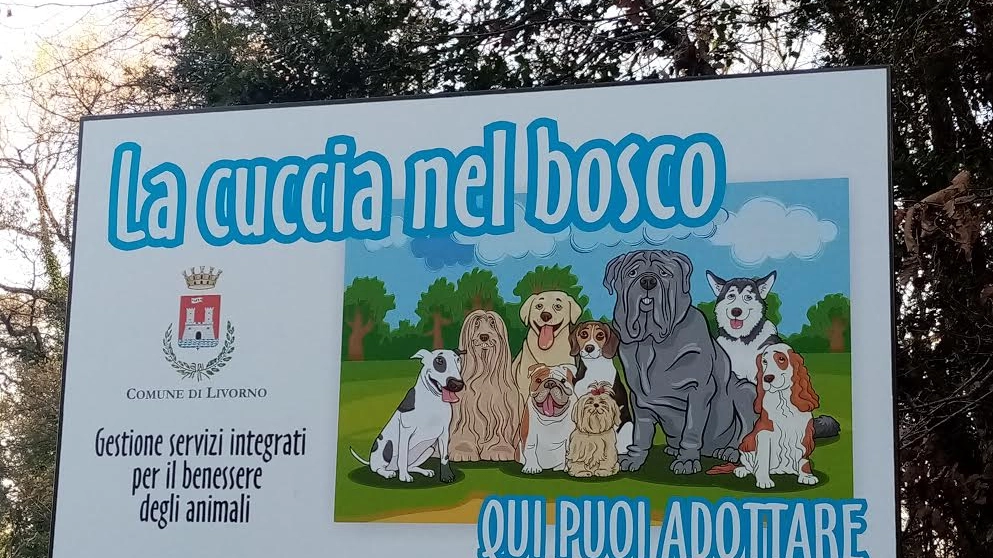 Il canile "La cuccia nel bosco" di Livorno