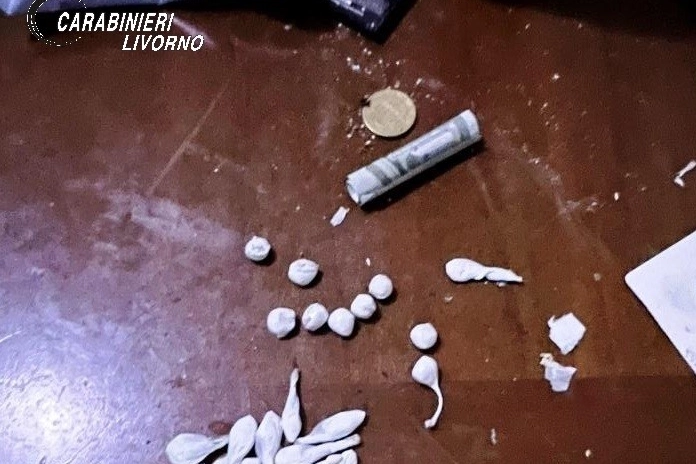 Le dosi di droga sequestrate dai carabinieri