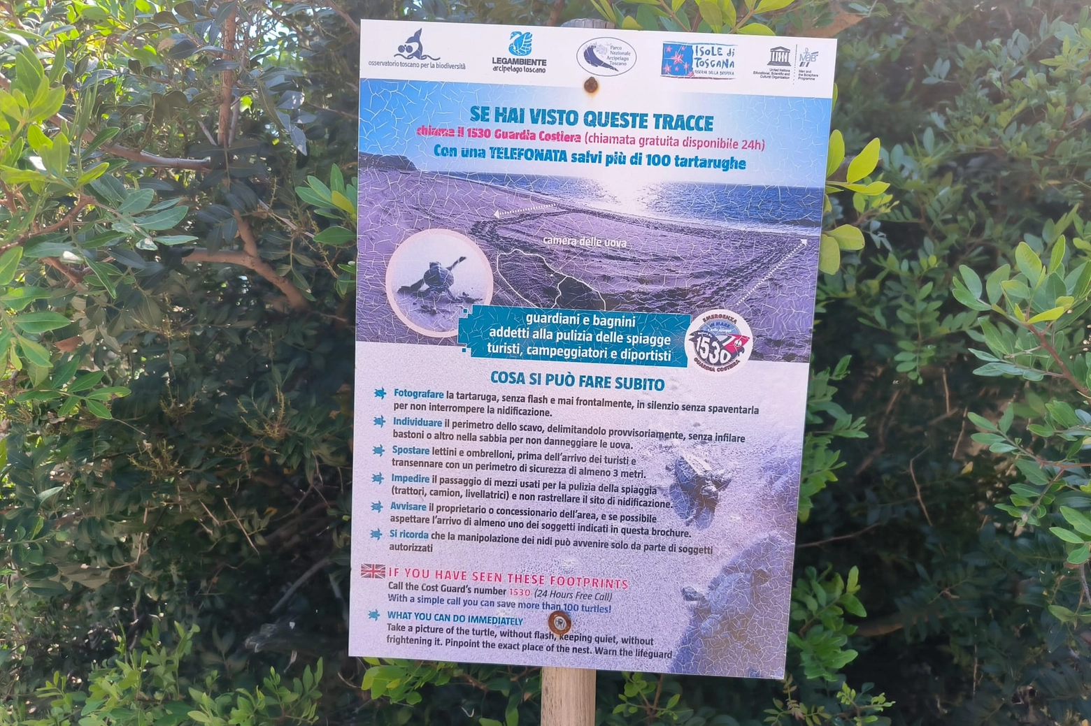 Il cartello di segnalazione lungo il percorso: che cosa fare se si ha il sospetto di aver trovato un nido di tartaruga (Foto di Valerie Pizzera)