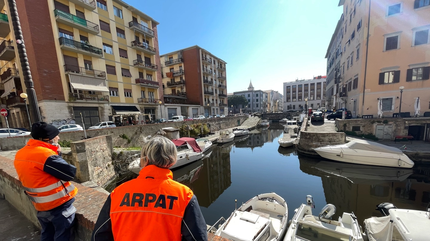 Livorno, fossi neri e maleodoranti: il sopralluogo Arpat (foto Novi)