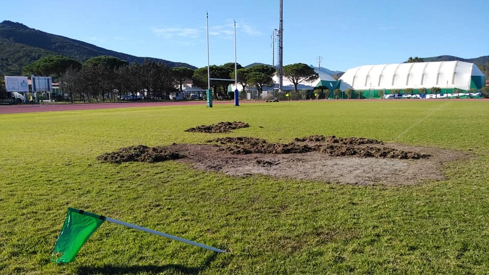 Il campo da rugby a San Giovanni devastato dai cinghiali