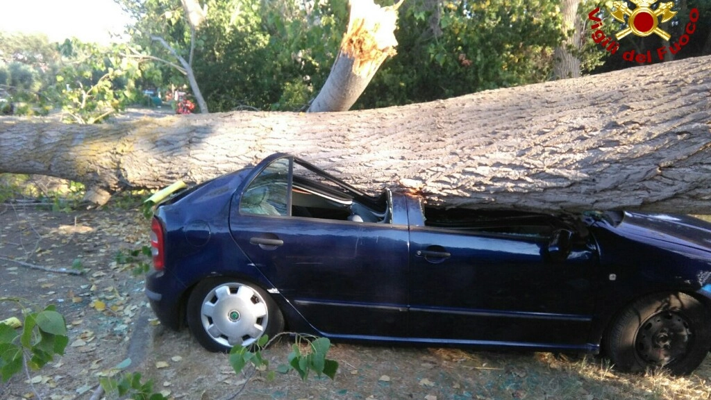 L'albero caduto e una delle auto distrutte