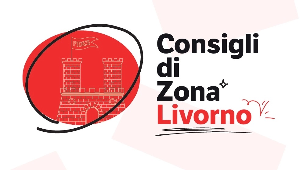 Consigli di zona Livorno