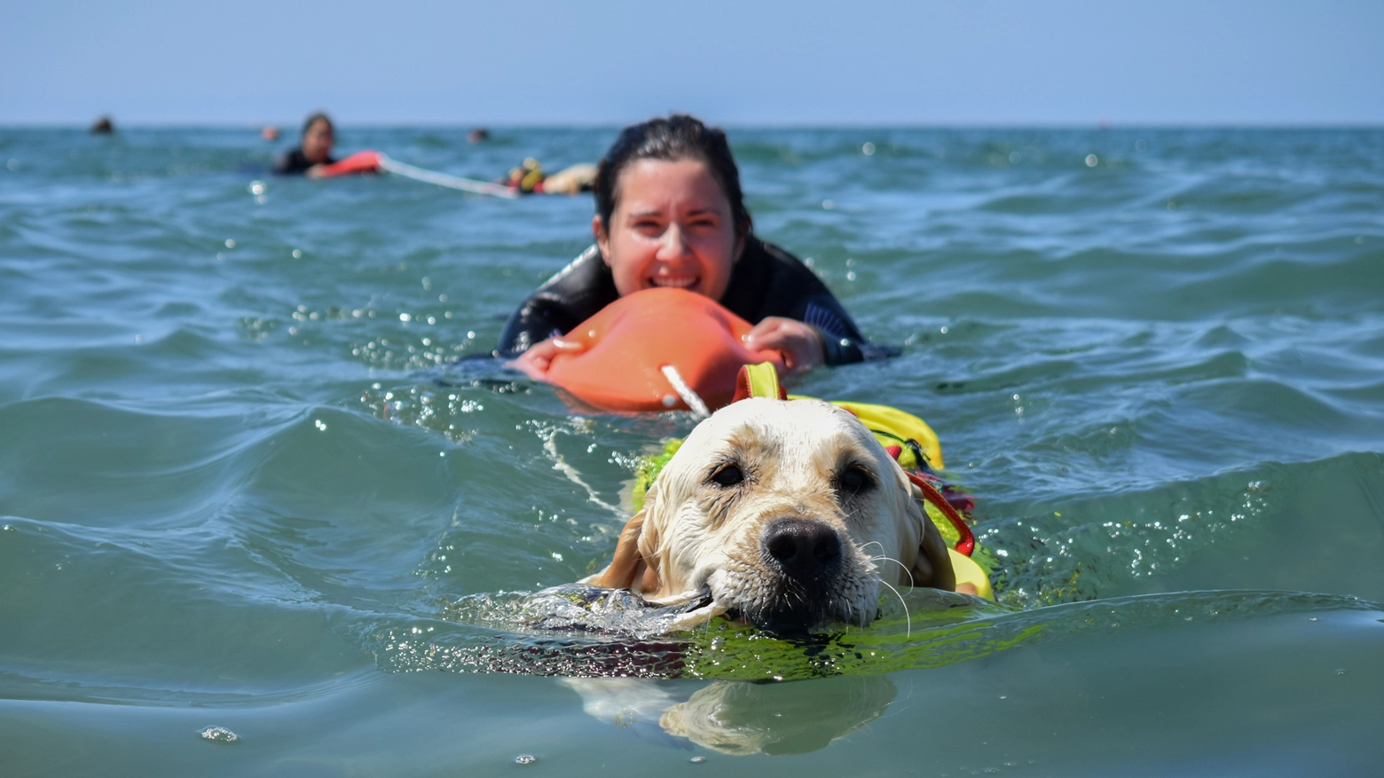 A Livorno i cani bagnino insegnano ai ragazzi la sicurezza in mare (Foto SICS)