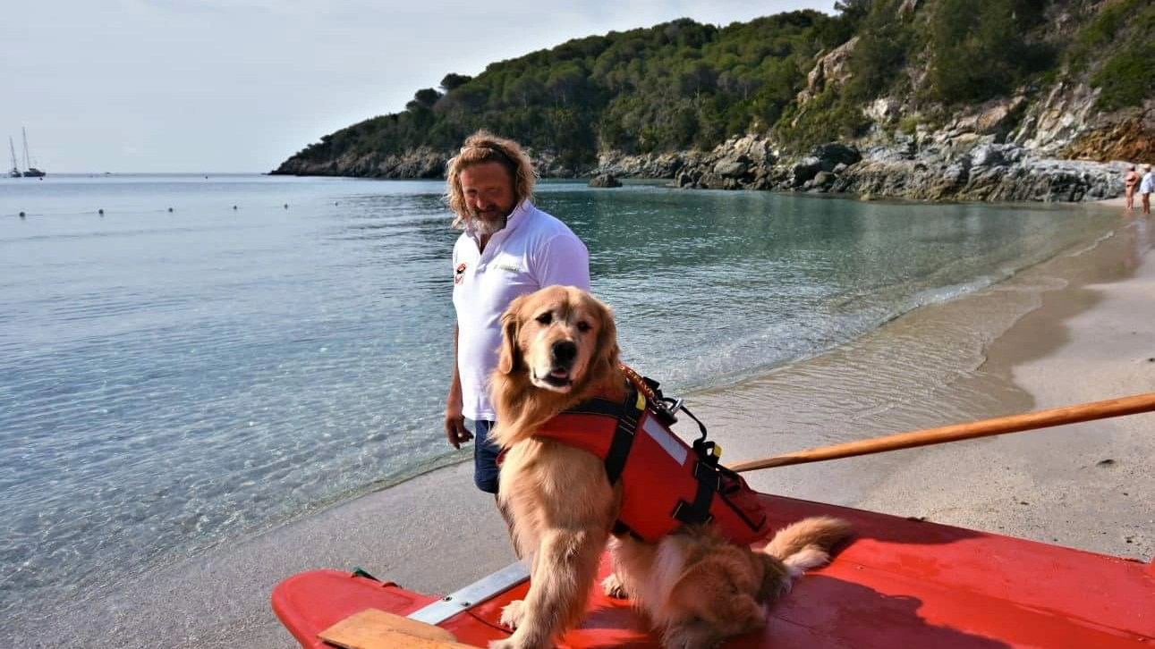 Paco, il cane bagnino all'Isola d'Elba, con il suo conduttore Bruno Mazzantini