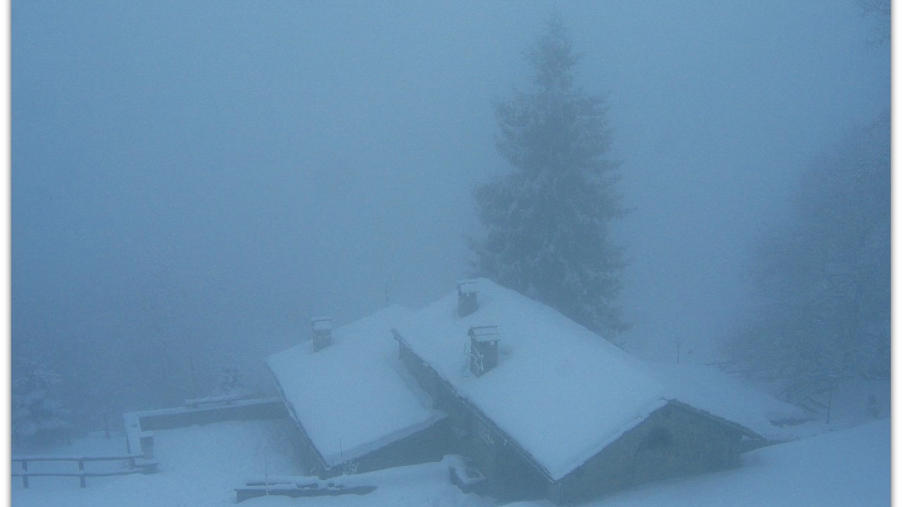 Neve a Poggio di Petto (Alpe di Cavarzano, Prato) il 21 febbraio (foto valbisenziometeo)