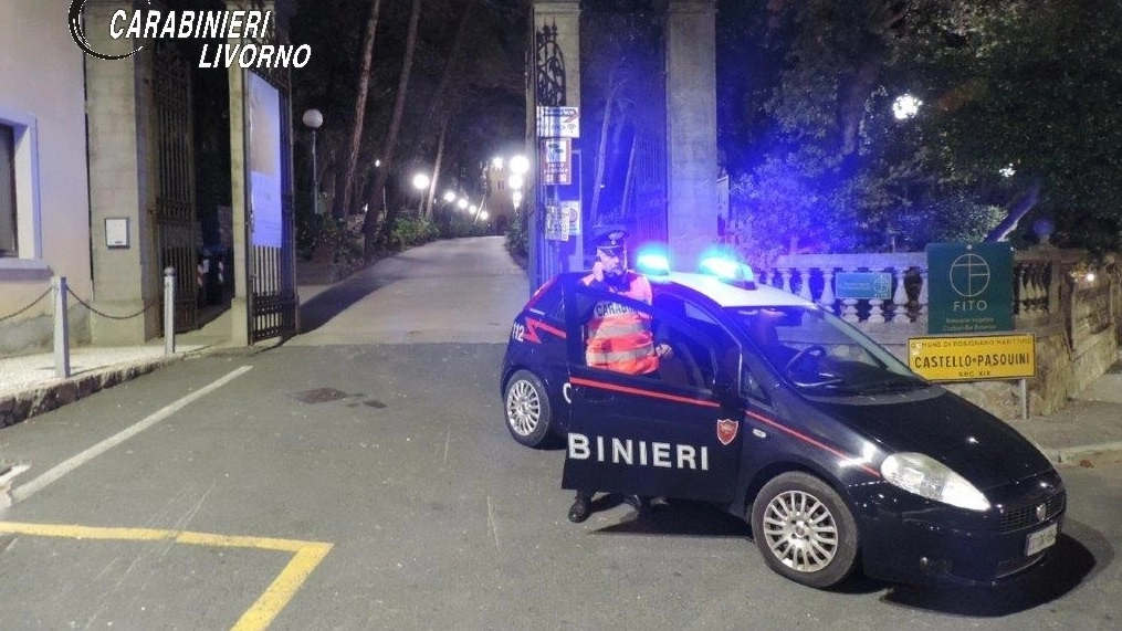 Le indagini dei carabinieri dopo due episodi a fine marzo
