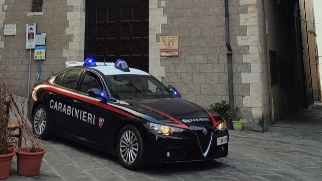 Sono intervenuti i carabinieri di Piombino (Foto di repertorio)