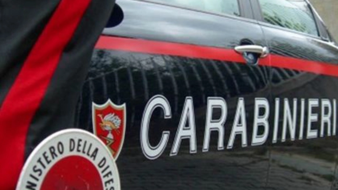 Carabinieri (immagine di repertorio)       