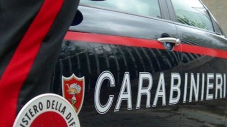L'inchiesta dei carabinieri (Foto Ansa)