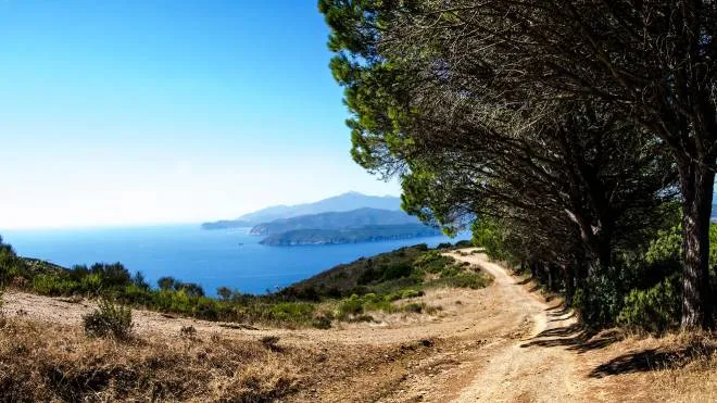Road leading over Monte Calamita (Mountain Calamita) on the smal Islan Elba. Elba is an Island in front of the west coast of Italy, in Europe.