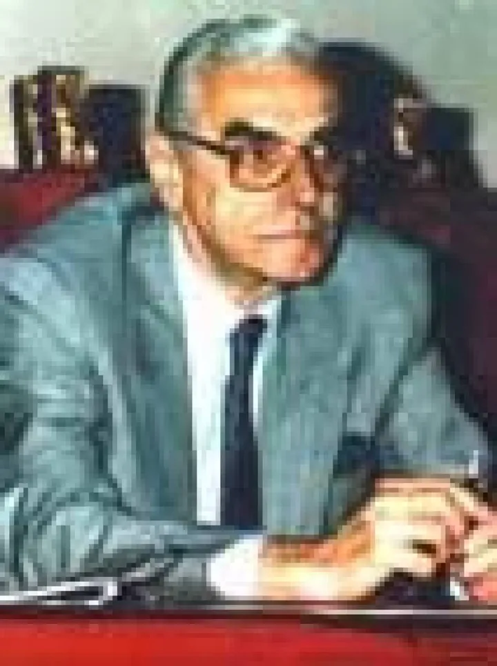Il professor Demiro Marchi