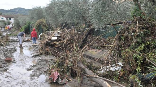 Allagamenti, alberi caduti, auto trascinate e invase dall'acqua, case scoperchiate (Foto Novi)