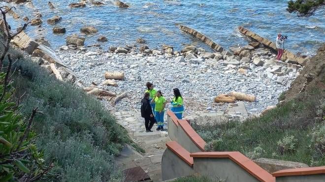 Livorno, donna di 78 anni trovata morta in spiaggia a Quercianella
(foto Novi)