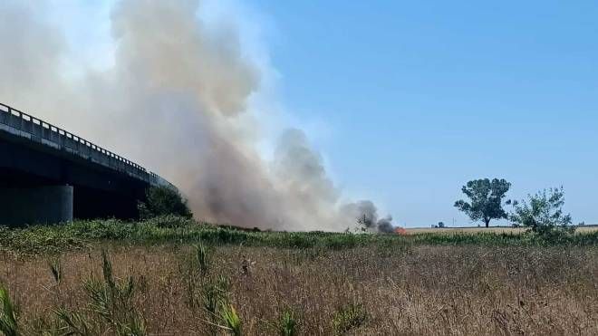 Guasticce (Livorno), nuovo incendio in zona Interporto. Foto concesse da volontari Aib della Pubblica Assistenza di Collesalvetti